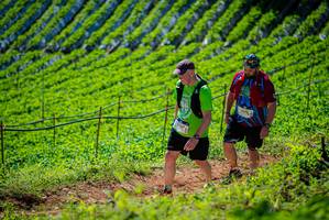 BIB: 2676
                            <button type="button" onclick="openModal(19163075)" class="btn btn-primary btn-sm float-right btn-popup" data-toggle="modal" data-target=".modal-high-quality">
                        <i class="fas fa-shopping-cart"></i> Add to Cart
                    </button>
                                            <button type="button" onclick="isThisMe(19163075, true)" class="btn btn-success btn-sm float-right btn-popup btn-isme hidden" data-toggle="tooltip" data-placement="bottom" title="นี่คือรูปของคุณใช่ไหม คลิกที่นี่เพื่อเอาเข้าอัลบั้ม">
                        <i class="fas fa-plus"></i> Add to album
                    </button>
                    <button type="button" onclick="isThisMe(19163075, false)" class="btn btn-warning btn-sm float-right btn-popup btn-isnotme hidden">
                        <i class="fas fa-ban"></i> Remove from album
                    </button>